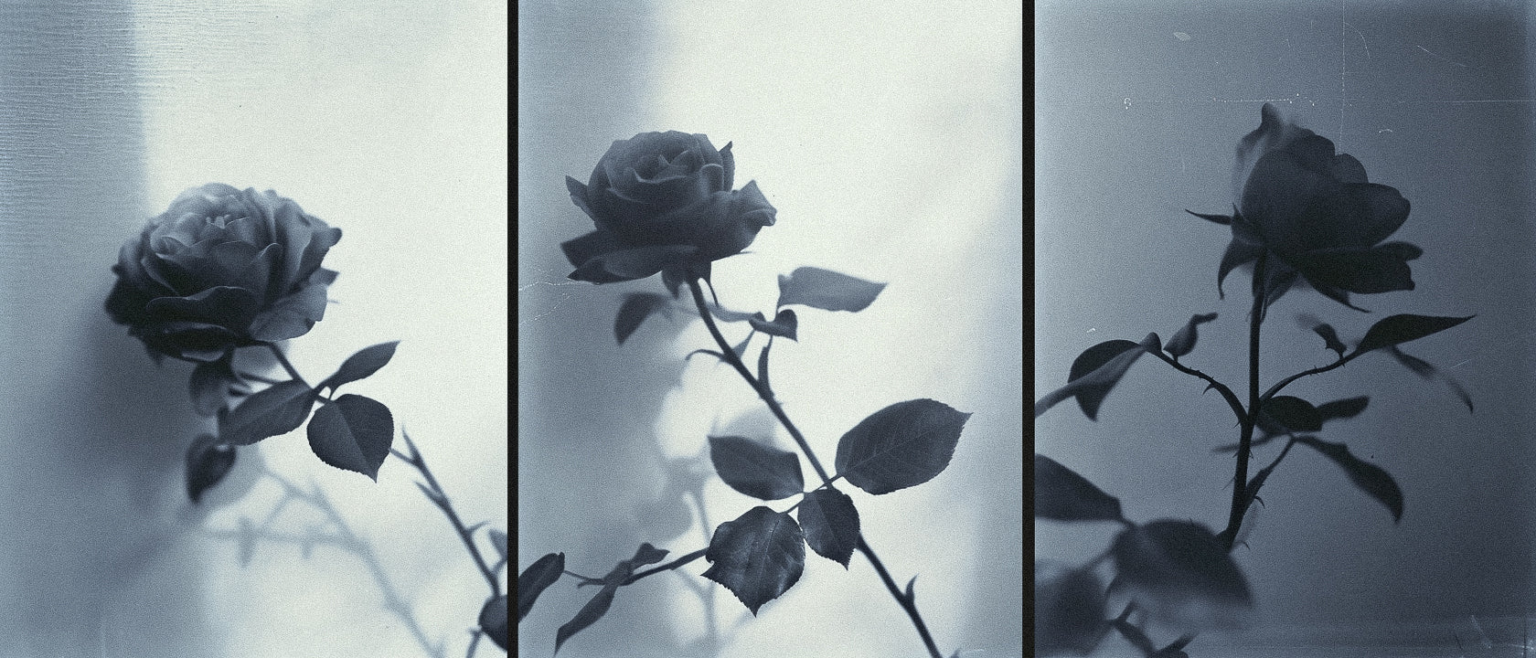 Irresistible by Nature: How Floral Perfumes Enhance Romantic Connection