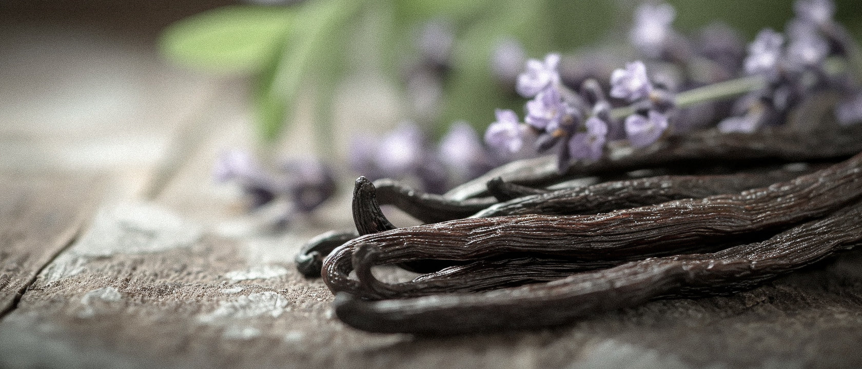 The Vanilla Renaissance: Exploring the Heart of Natural Perfume and Niche Fragrance