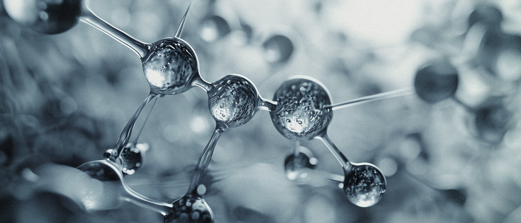 Vanilla in Perfumery: 5 Sensory Dimensions That Create Unforgettable Fragrances