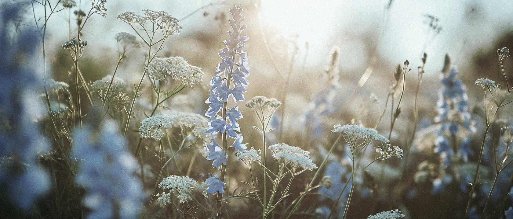 The Perfumer's Green Laboratory: 5 Sustainable Ingredients Defining Modern Eco-Luxury Fragrances