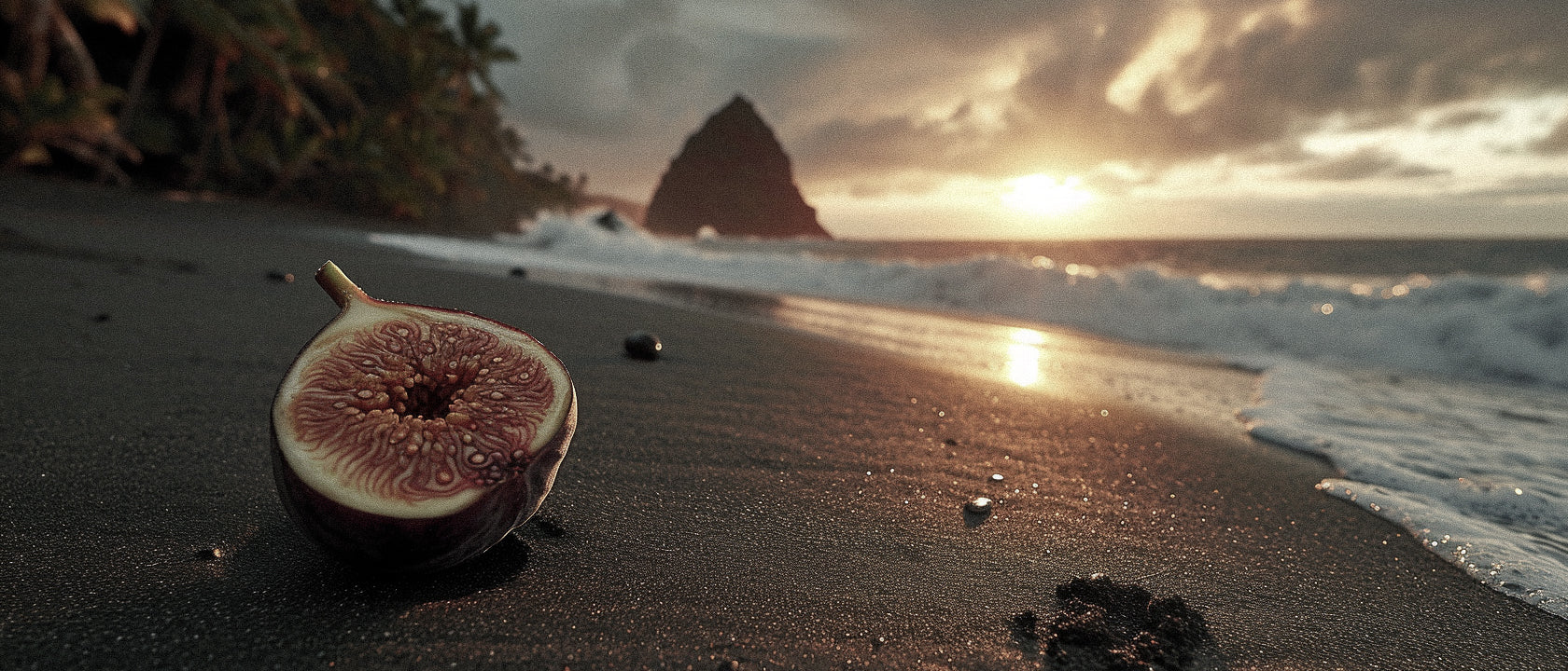 Fig Fragrances Unveiled: The Artful Composition Through Changing Seasons