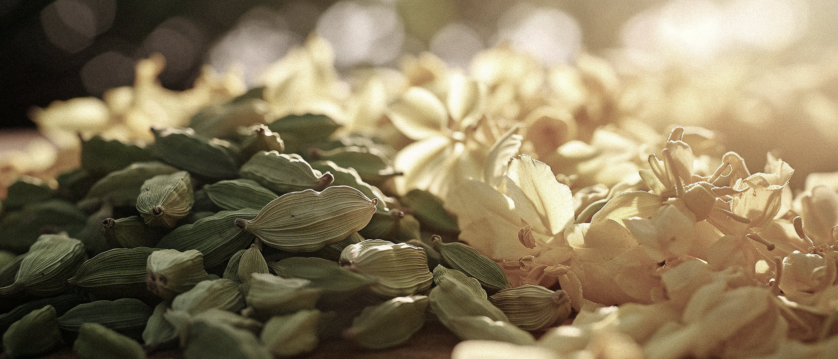 Unlocking Molecular Magic: Cardamom and Ylang-Ylang Perfume Combinations Revealed