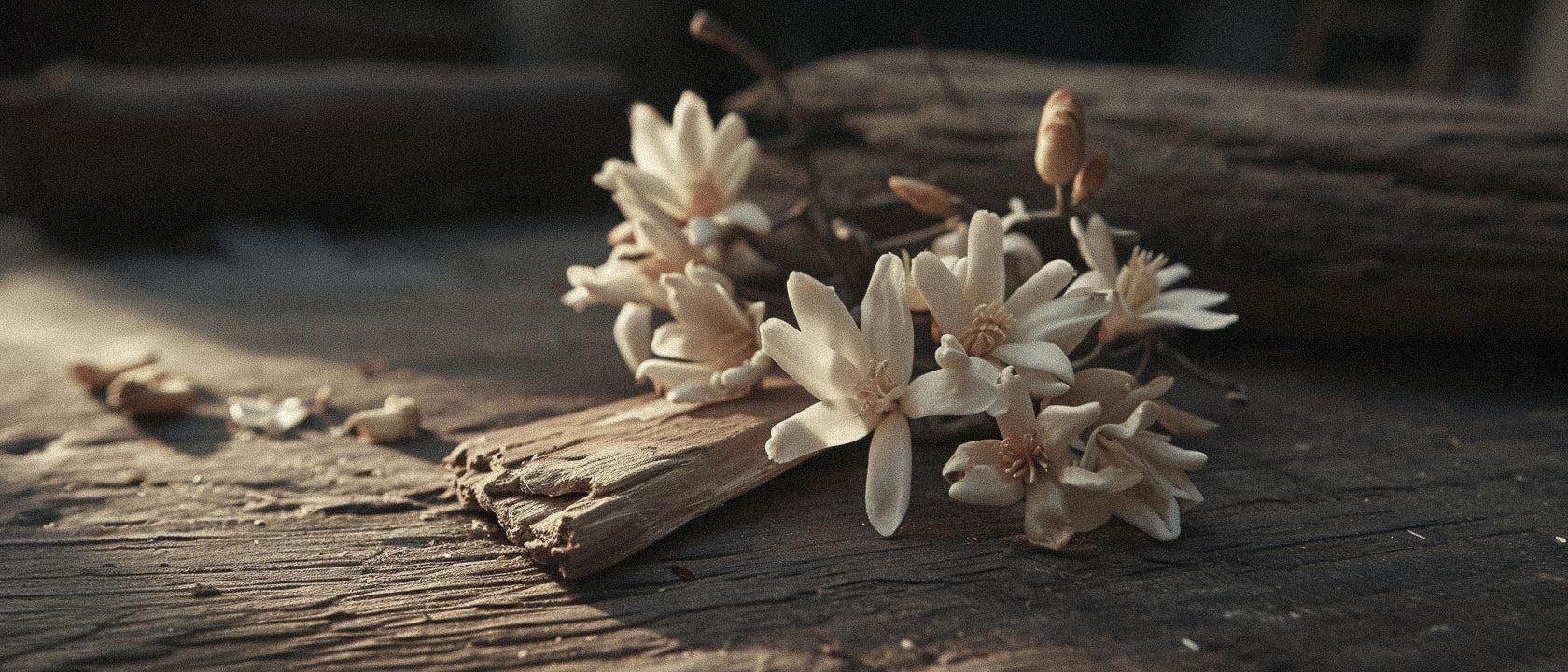 Perfume Neroli & Sandalwood: The Extraordinary Harmony of Luxury Fragrance