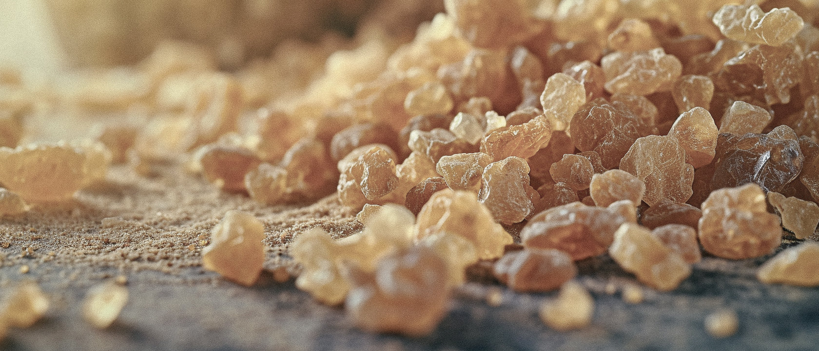 The Science of Elemi: Nature’s Hidden Gem in Niche Fragrance Creation