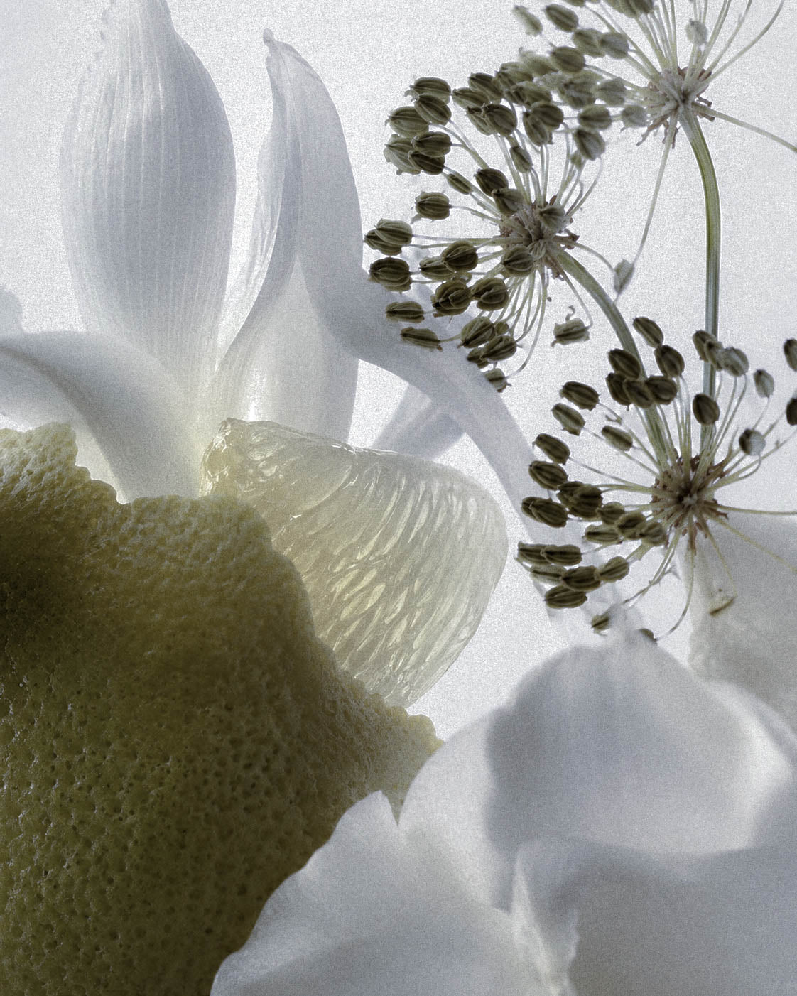 What Happens When a Perfume Material Disappears?