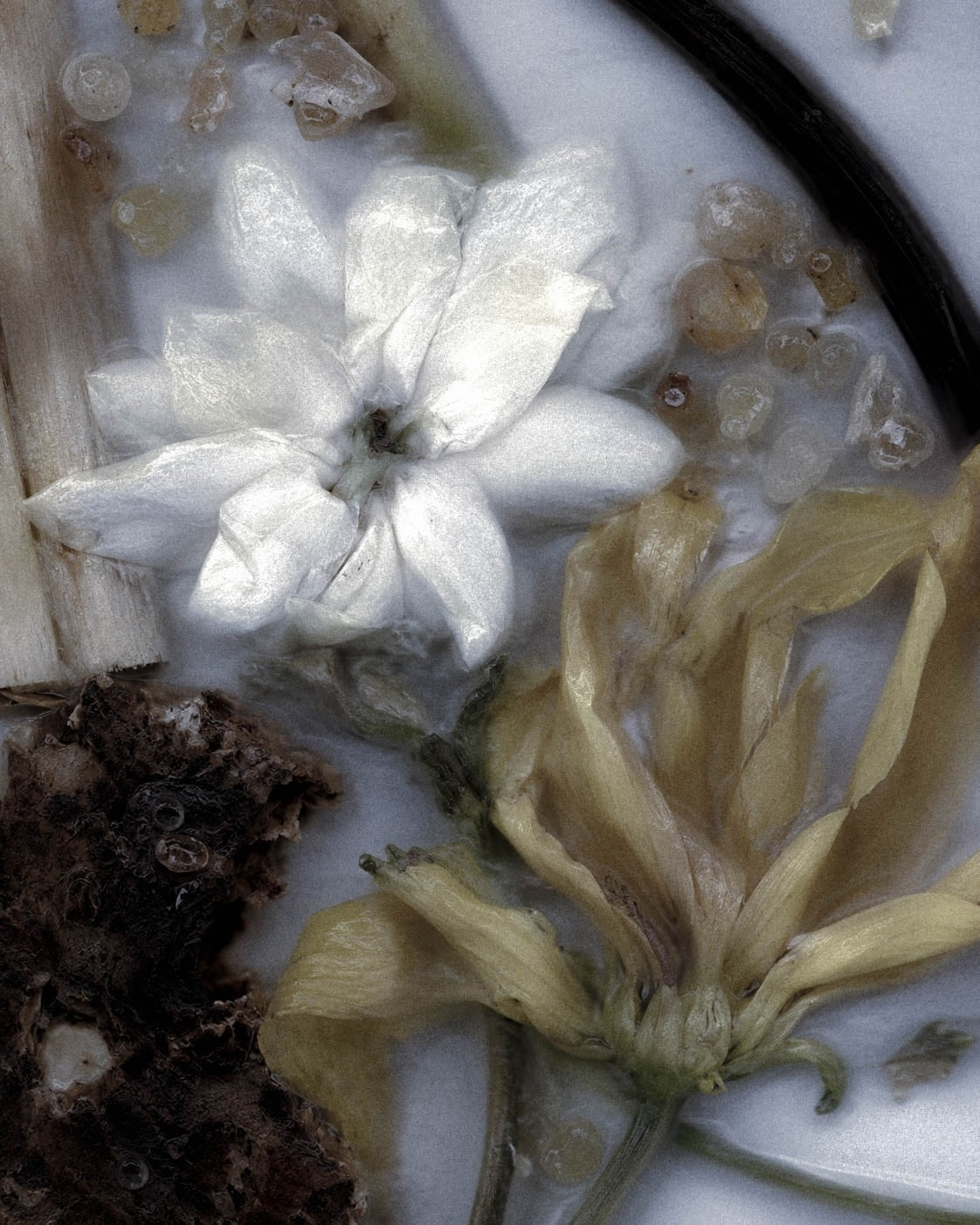 What Did Ancient Cities Smell Like?
