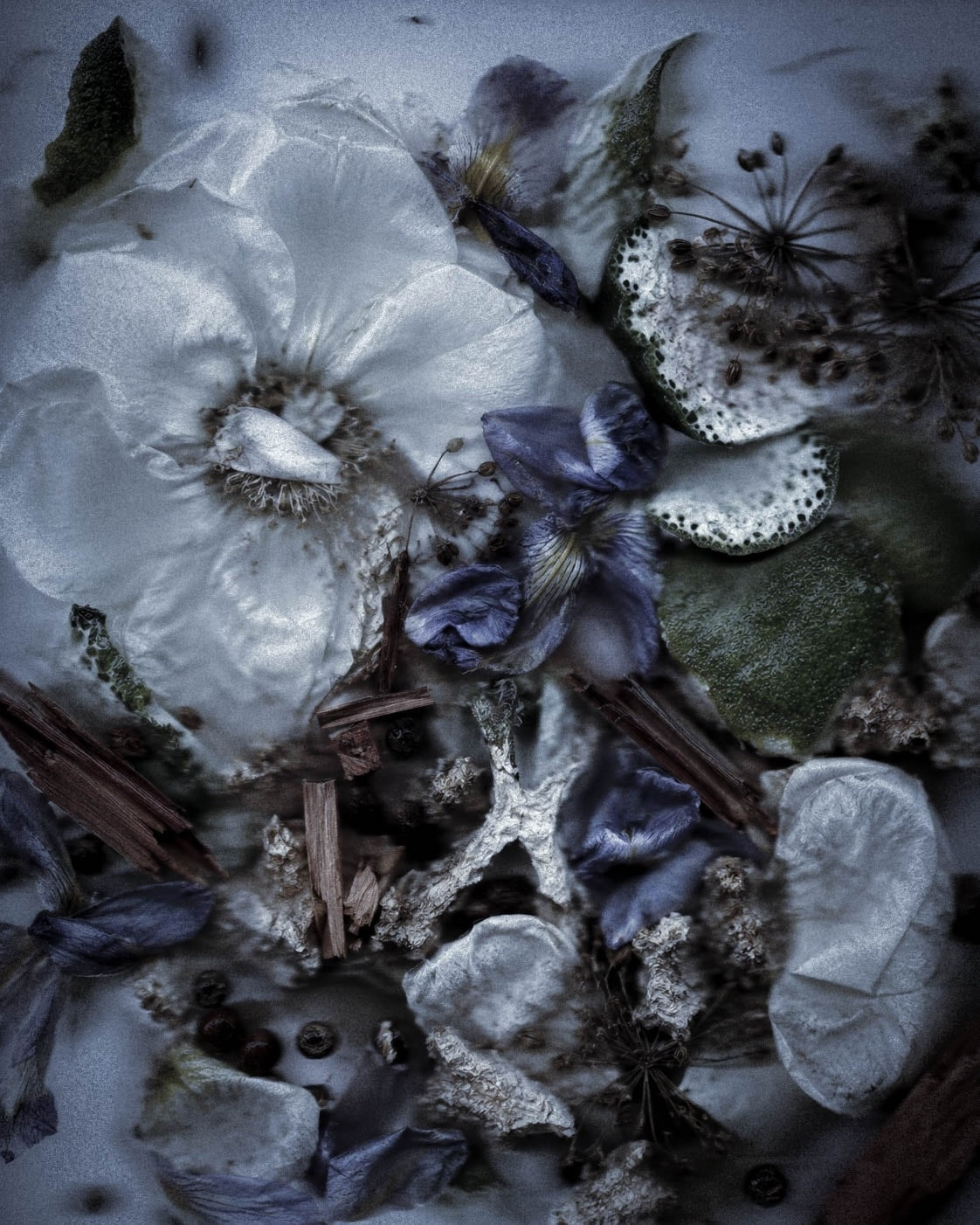 Can Natural Perfume Protect Biodiversity?