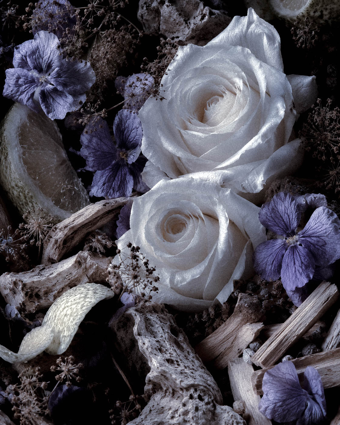 Why Perfume Feels Like Color: Synesthesia, Scent & Fragrance