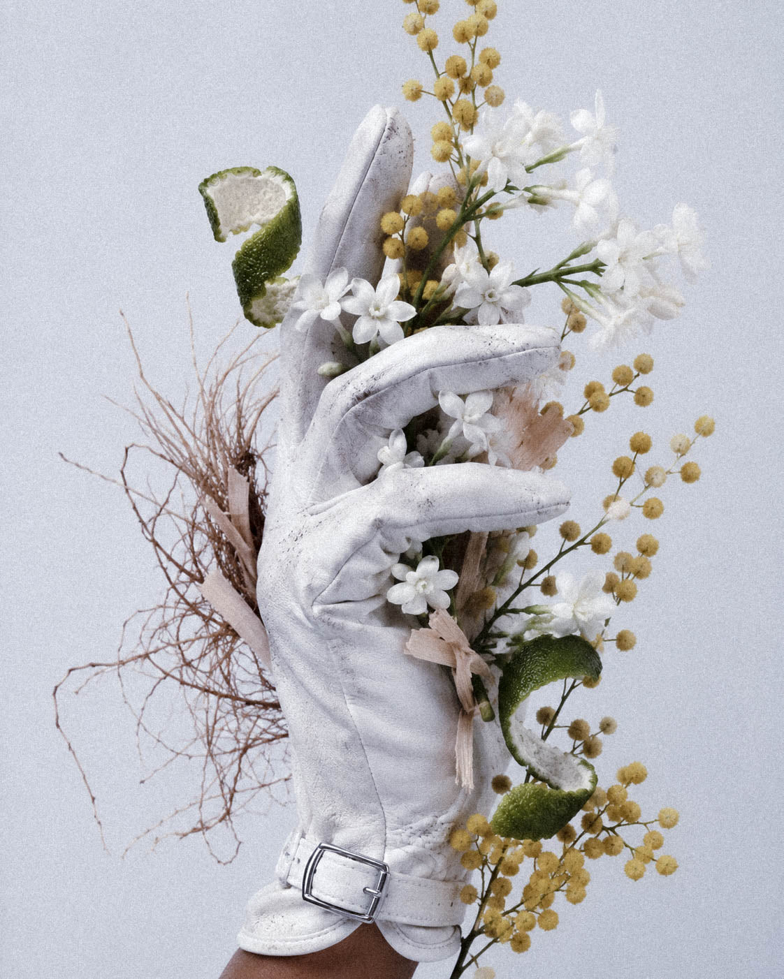 The Garden and the Perfume: How Landscape Shaped the Language of Scent