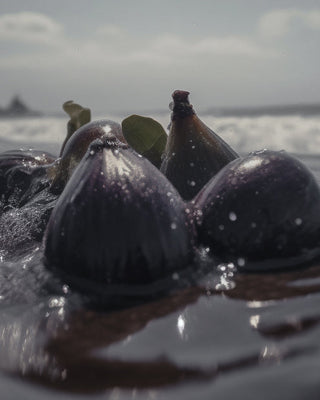 Beyond Ordinary Scents: What Makes Fig Fragrances the Secret Favorite of Perfume Connoisseurs