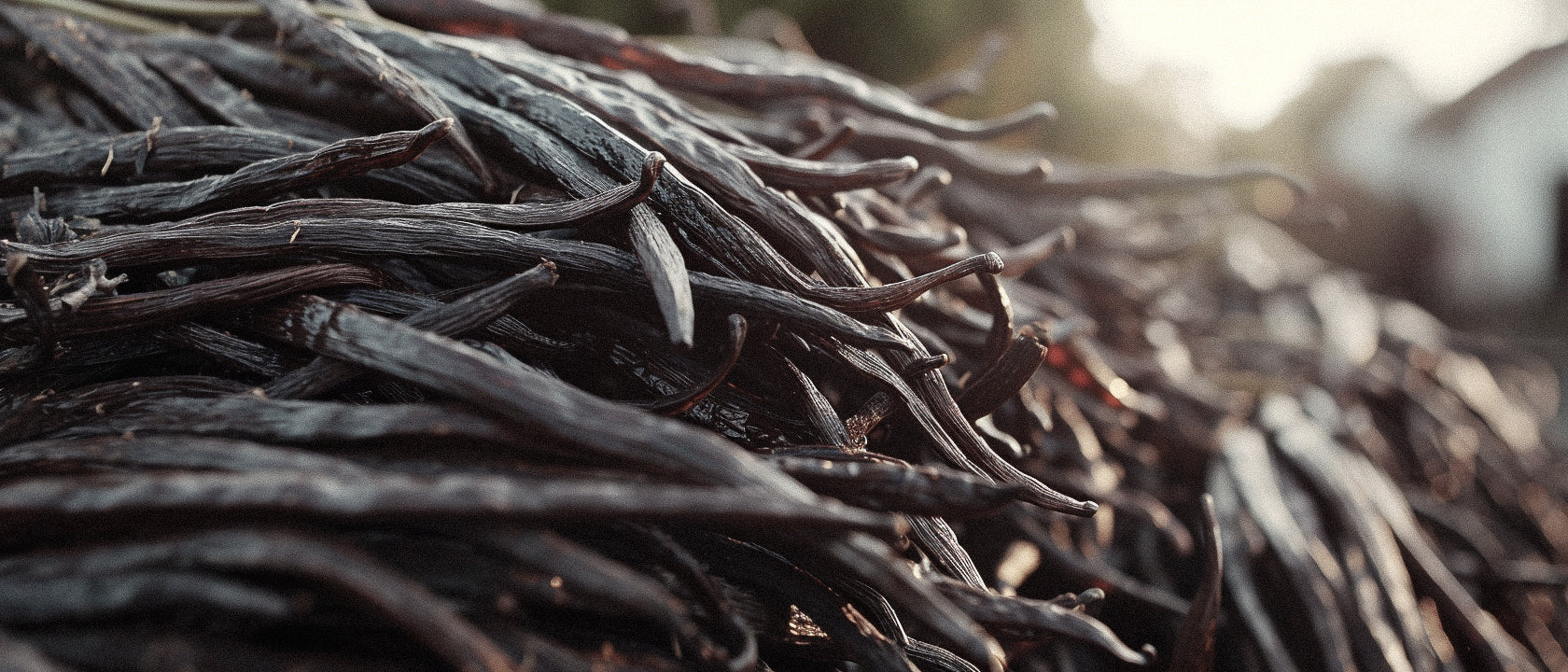 Vanilla Perfume's Green Secret: The Story of Ethical and Sustainable Sourcing