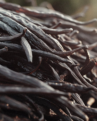 Vanilla Perfume's Green Secret: The Story of Ethical and Sustainable Sourcing