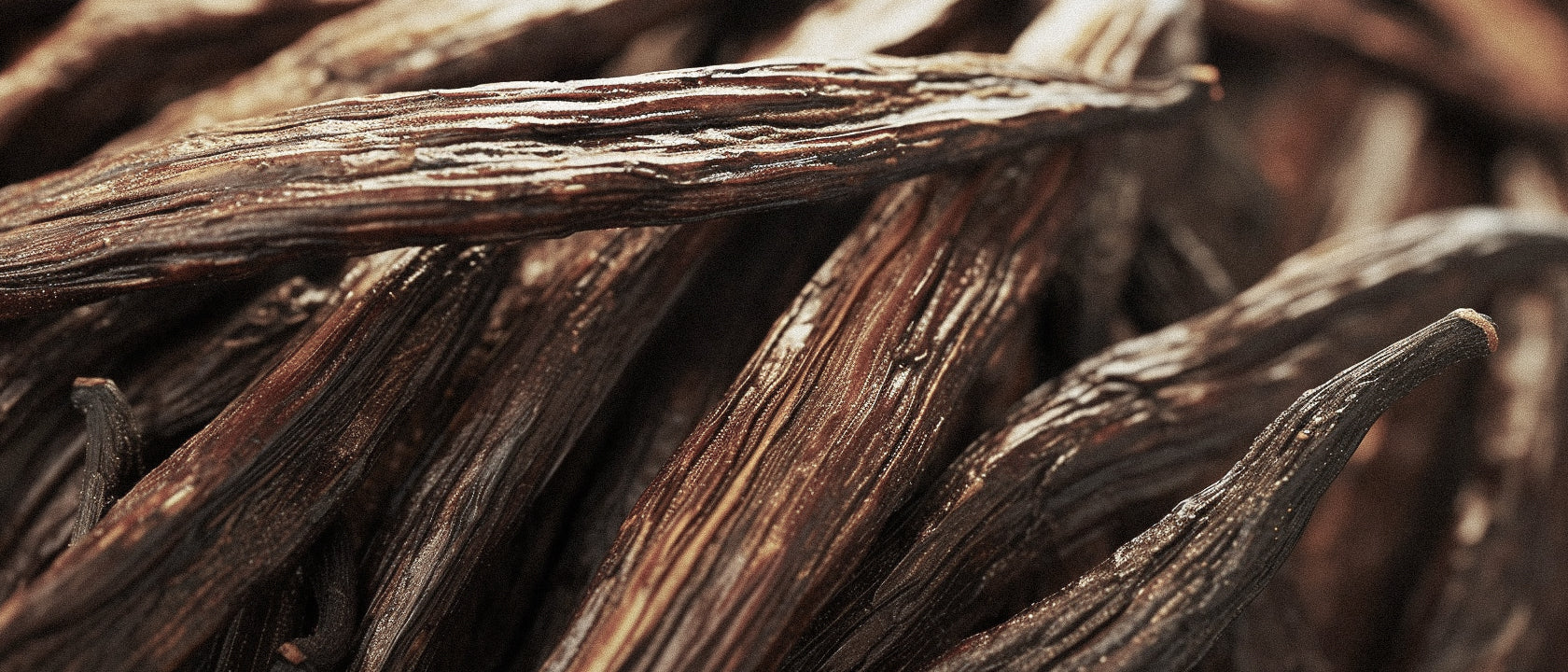 The Versatile Vanilla: Tracing its History in Perfumery