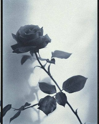 Irresistible by Nature: How Floral Perfumes Enhance Romantic Connection