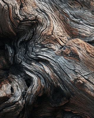 7 Ultra-Rare Natural Treasures: The World’s Most Expensive Fragrance Ingredients