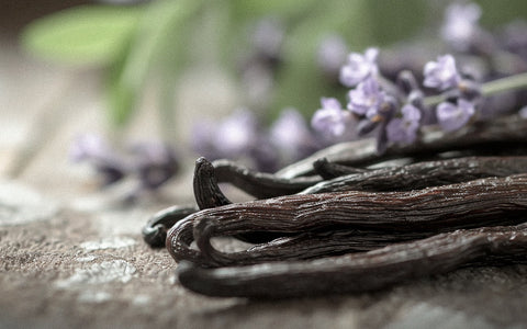 Vanilla Fusion: Unearthing the Secret to Combining Vanilla with Other Natural Fragrances