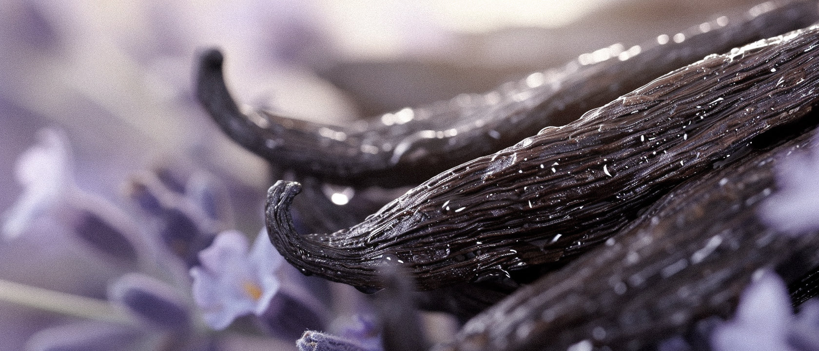 Lavender and Vanilla Scent Pairings: When Molecular Aesthetics Meet Olfactory Pleasure
