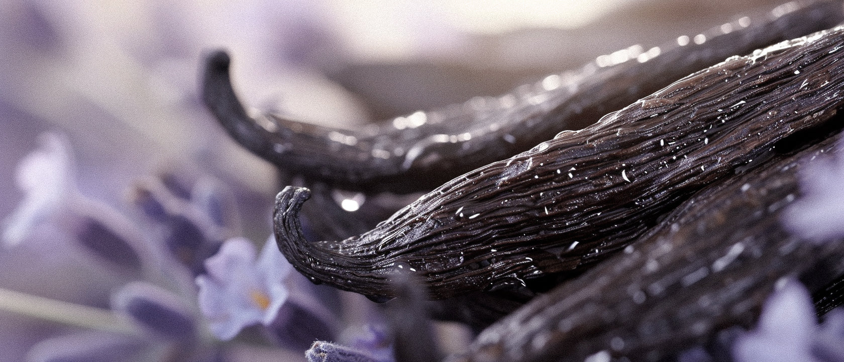 The Ultimate Guide to Lavender and Vanilla Perfume: Nature’s Perfect Aromatic Harmony