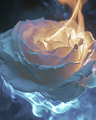 Scent as Subversion: How Niche Fragrance Became a Tool in Political Resistance Movements