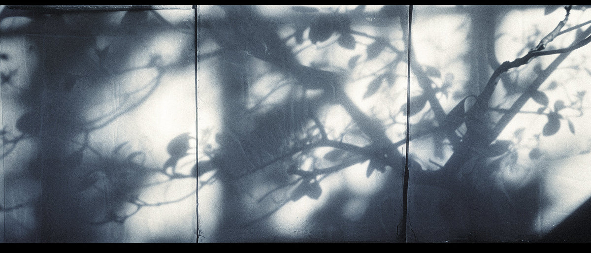 Olfactory Artifacts: Reading History Through Vintage Fragrance