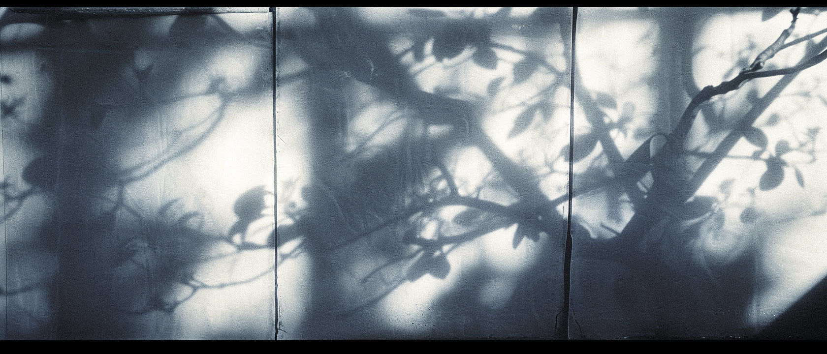 Molecular Hauntings: Perfume as Unintentional Historical Archive