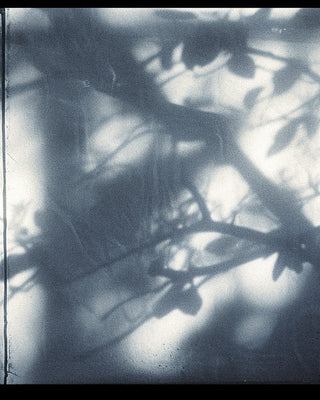 Molecular Hauntings: Perfume as Unintentional Historical Archive