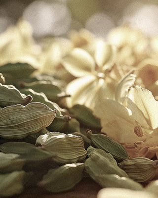 Unlocking Molecular Magic: Cardamom and Ylang-Ylang Perfume Combinations Revealed
