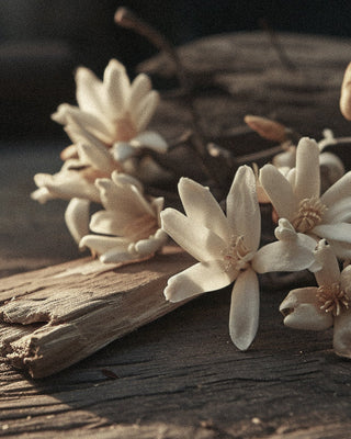 Perfume Neroli & Sandalwood: The Extraordinary Harmony of Luxury Fragrance