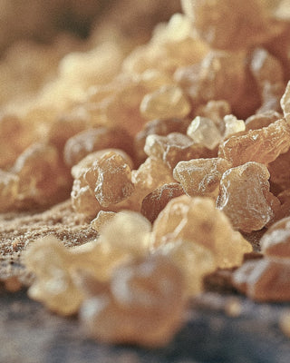 The Science of Elemi: Nature’s Hidden Gem in Niche Fragrance Creation
