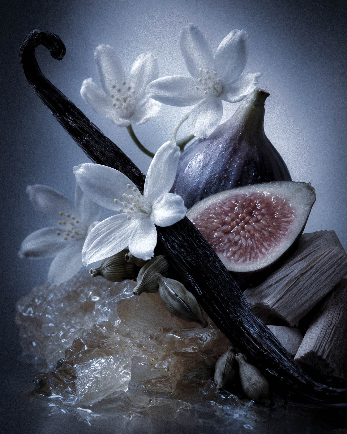 What Does Fig Smell Like? The Green, Milky World of Fig Perfume